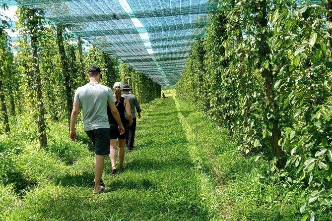 Exploring Kampot: A Memorable Tour from Sihanoukville - Key Highlights That Make This Tour Worth Your Time