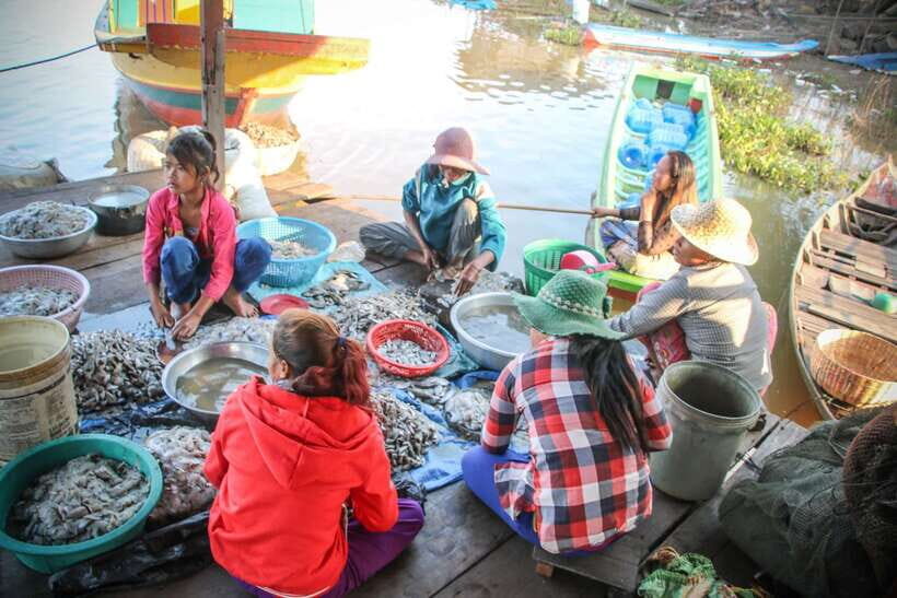 Floating Village and Tonlé Sap Sunset Tour - Key points worth knowing before you go