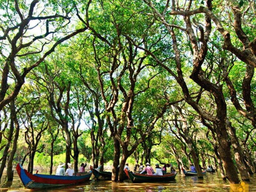 Floating Village-Mangroves Forest Tonle Sap Lake Boat Tour - The Afternoon Shift: Shrines, Wat Bo, and a Temple Circuit