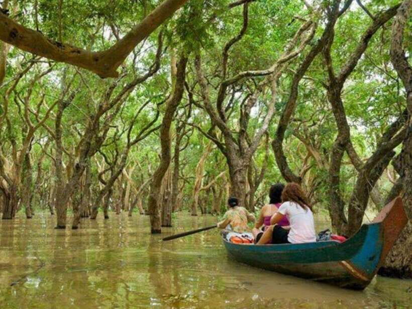 Floating Village-Mangroves Forest Tonle Sap Lake Boat Tour - Mangroves Boat Cruise: Where the Water Gets Interesting