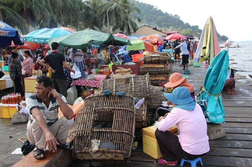 From Phnom Penh: Kampot Day Trip to Beautiful place W/ Guide - Stop 6: Seahorse Statue Area and Street Snacks (Local Flavor Without a Big Detour)