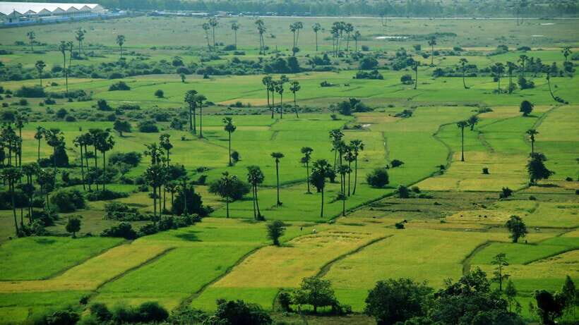 From Siem Reap: Battambang Day Trip Bamboo Train, Bats Cave - The Bamboo Train: The Countryside Ride People Remember