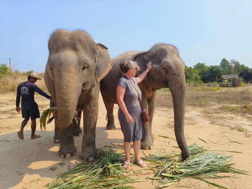 From Siem Reap: Elephant Sanctuary Experience with Transfers - Refreshments and downtime: getting your bearings after the mud