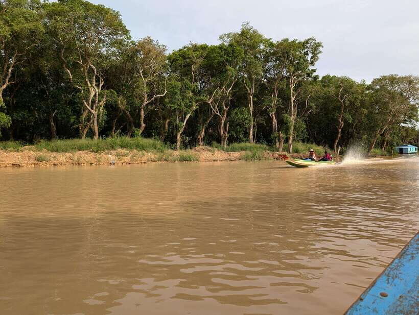 From Siem Reap: Floating Village Tour by Boat - The mangrove setting around Kompong Phluk