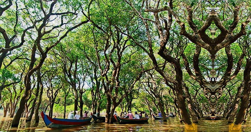 From Siem Reap: Floating Village Tour by Boat - Price and value: what $26 covers and what costs extra