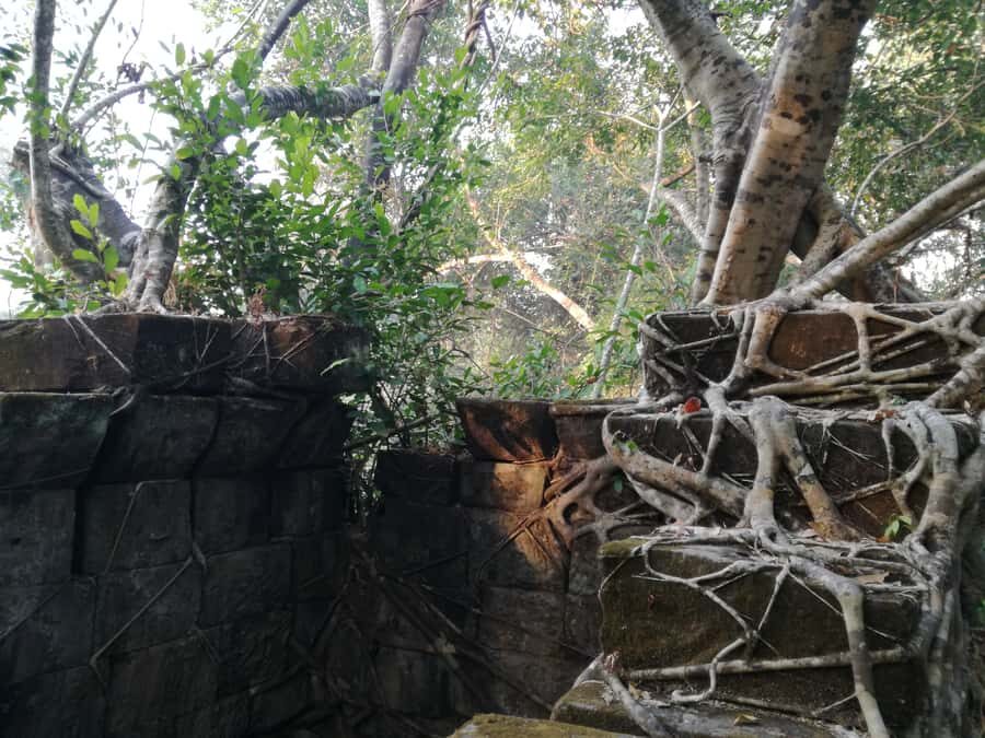 From Siem Reap: Half-Day Tour to Beng Mealea Temple - What to Bring (So the Jungle Doesn’t Beat You)