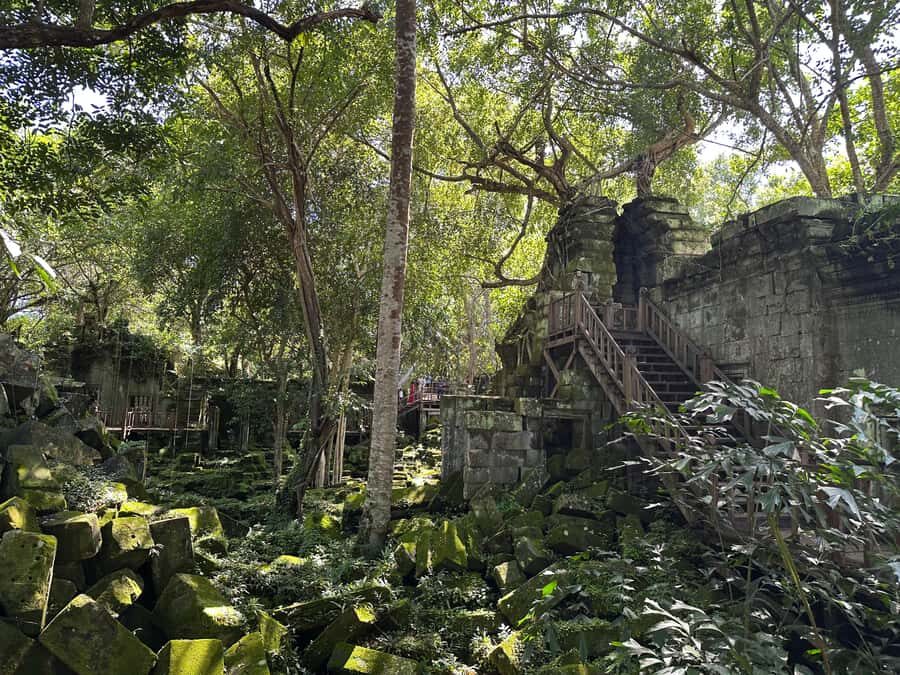 From Siem Reap: Half-Day Tour to Beng Mealea Temple - Route Choices That Help You See More