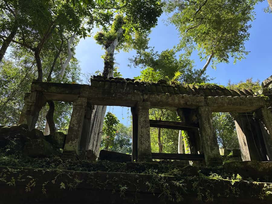 From Siem Reap: Half-Day Tour to Beng Mealea Temple - Price and Value: Why $130 Can Make Sense Here