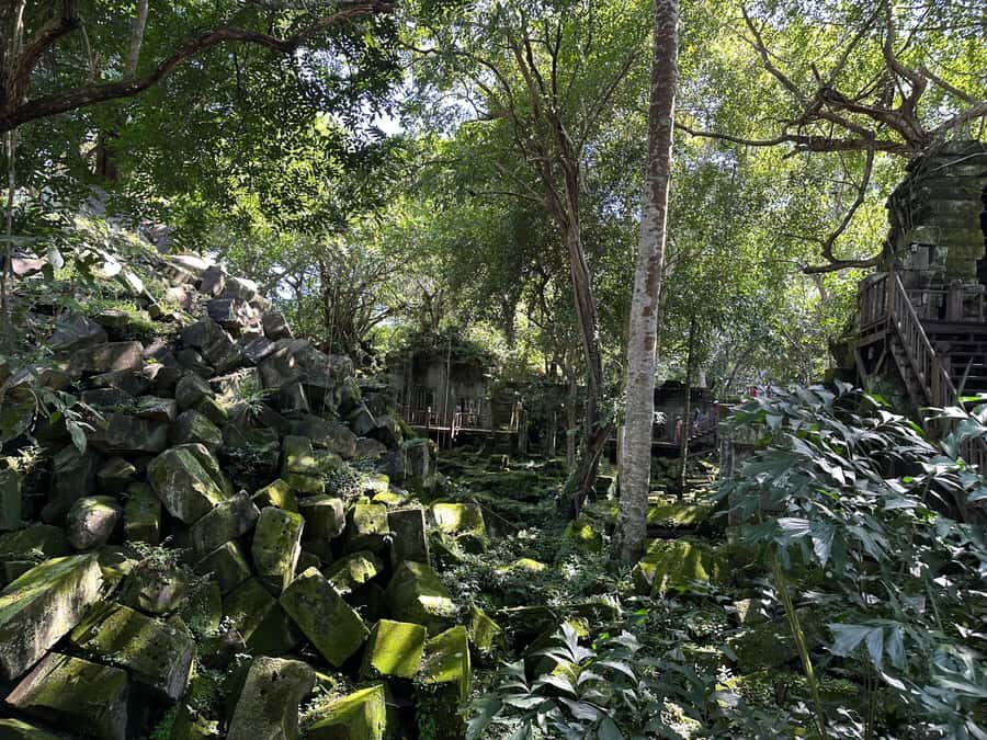 From Siem Reap: Half-Day Tour to Beng Mealea Temple - Best Time to Go: Morning vs Afternoon