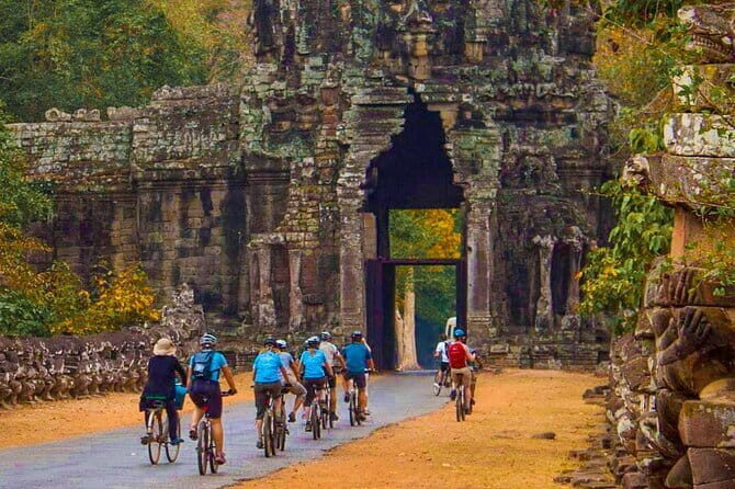 Full-Day Guided Bicycle Tour in Angkor Wat Temple - Ta Prohm and the Jungle Approach: Roots, Vines, and Shaded Roads