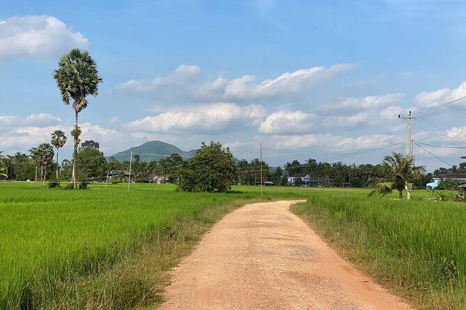 Full Day Pepper Farm Adventure by Scooter - Why Kampot and Kep feel made for scooters