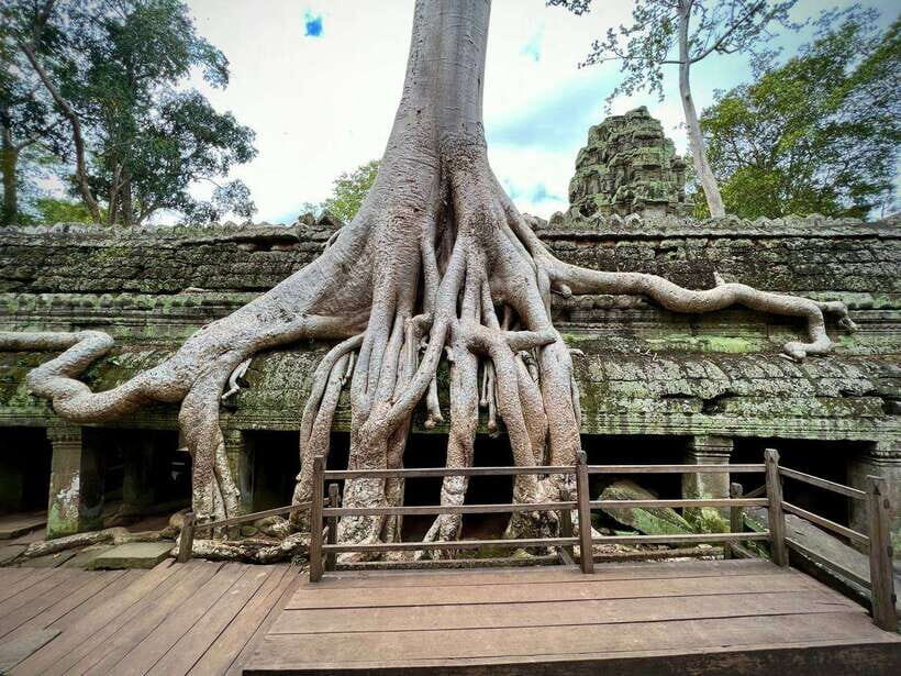 Full Day Private of Angkor Wat Tour with Tuk Tuk - Ta Prohm: Giant Tree Roots and the Best Kind of Chaos