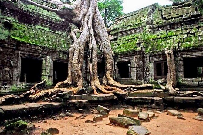Full-day Private VIP Tour to Angkor Complex - Baphuon’s Elevated 225m Walkway and the Angkor Thom View