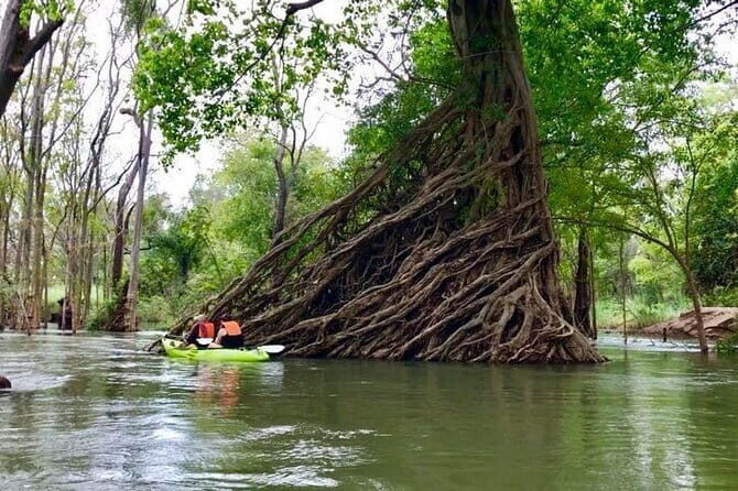 Full Day Tour from Siem Reap - Bamboo Train, Killing Cave & Sunset - Phnom Sampeau Killing Cave: the climb before the bat moment