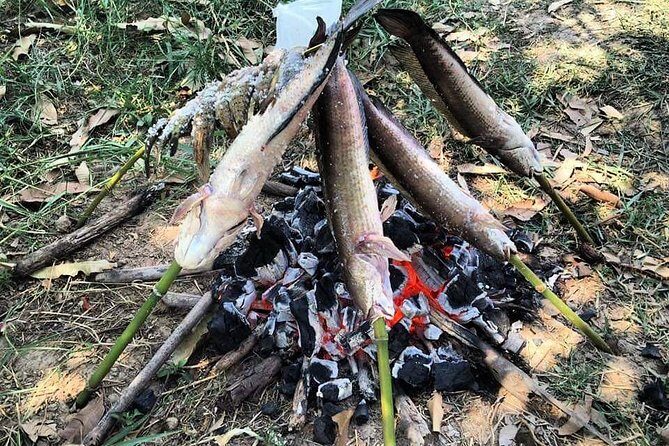 Full-day: Wat Banan. Old bamboo train. Bat Cave. Killing cave - Bamboo train etiquette and comfort: what to expect before you ride