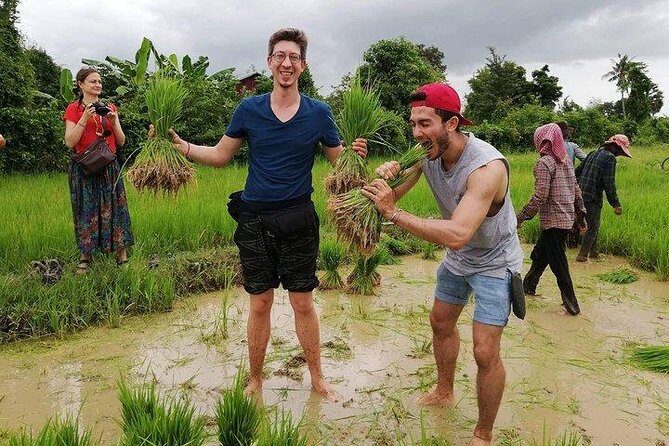 Full-day: Wat Banan. Old bamboo train. Bat Cave. Killing cave - The full-day flow: how the tuk-tuk, bikes, and stops fit together