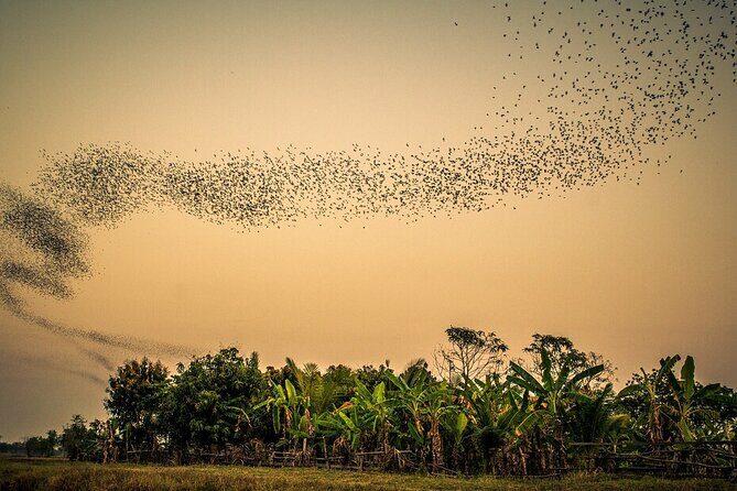 Full/Half Day Tuk TuK: Handicrafts Bambootrain Killing&Bat Caves - Key things to know before you go
