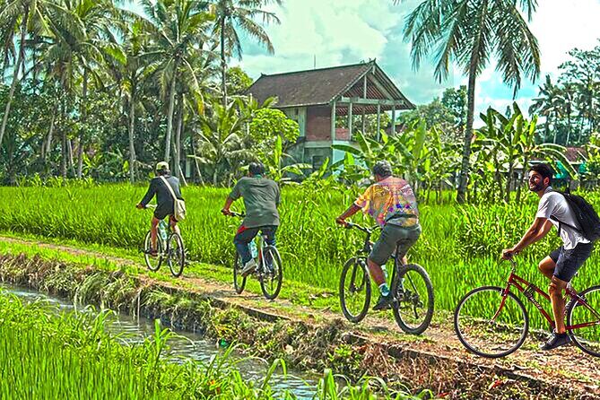 Grand Tour-Ek Phnom. Baset. Bamboo Train. Wat Banan. Phnom Sampov - Wat Banan’s 358 steps and the five-tower payoff