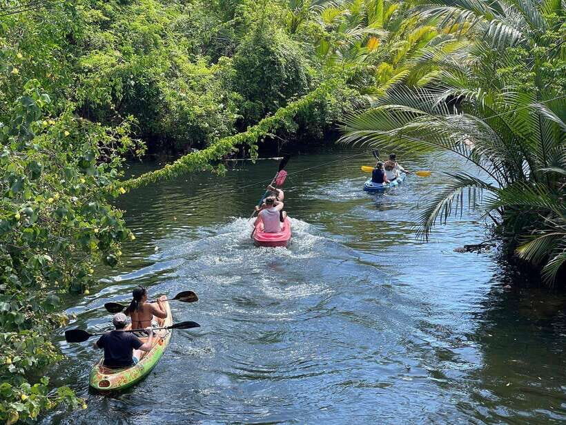 Green Cathedral Kayaking Journey & Reflection River View - Your 3-hour flow: from guided paddle to river-time calm