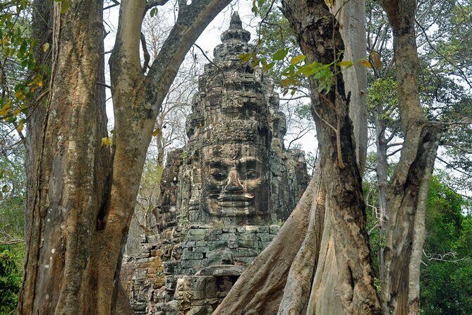 Guided Private Tuk Tuk Tour Angkor Wat and Small Circle and Five Extras - Srah Srang: the reservoir with the animal terrace