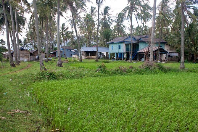 Half-Day Adventure to the Pepper Farm by Scooter - Starting point and the route feel: Butterfly Tours to countryside back roads