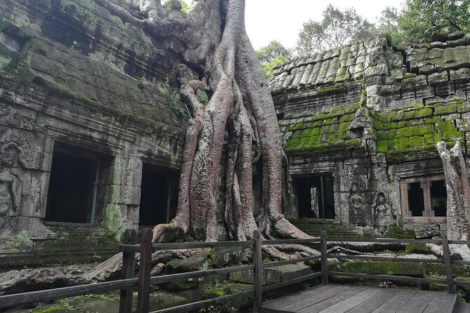 Half Day Angkor Wat Sunrise Private Tour - Ta Prohm: The Tree-Crowded Temple Everyone Wants Photos Of
