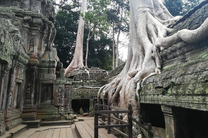 Half Day Angkor Wat Sunrise Private Tour - Angkor Wat at Dawn: Getting Oriented and Finding the Best Views