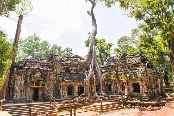 Half Day Angkor Wat Tour - Morning or Afternoon from Siem Reap - Key highlights you’ll care about