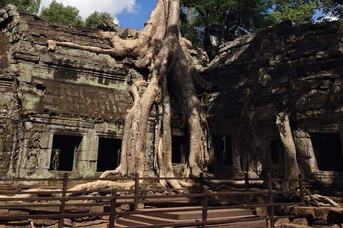 Half-Day Ta Prohm and Banteay Kdei Tour - Stop 1: Ta Prohm’s roots, moss, and the Tomb Raider tree