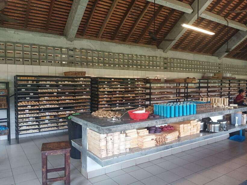 Half Day Trip: Silk Farm, Satcha, and Senteur d'Angkor Tour - Quick practical notes before you go