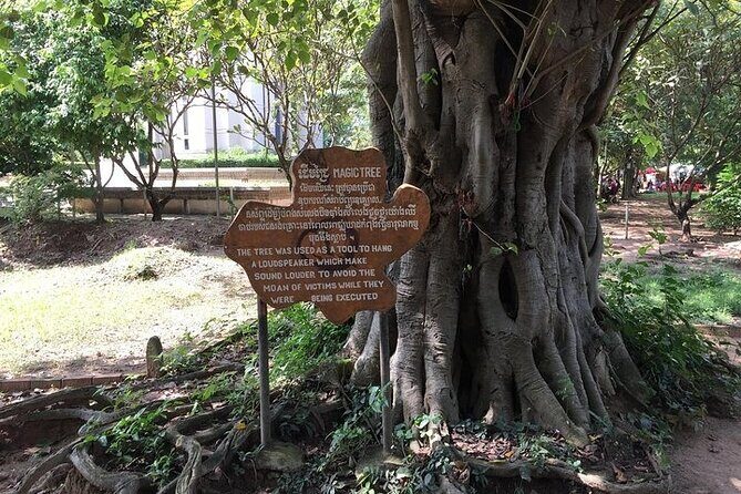 Half Day Trip to Killing Field and Genocidal Museum - Who This Tour Fits Best (and Who Might Rethink It)