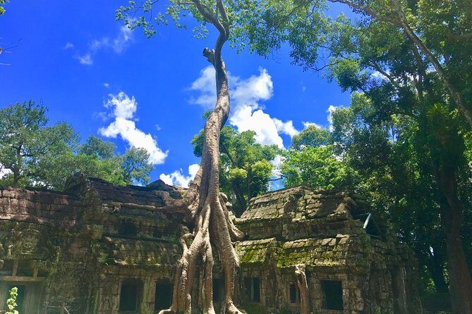 Highlight of Angkor Complex 2 Days Private Tour - Who This Tour Fits Best