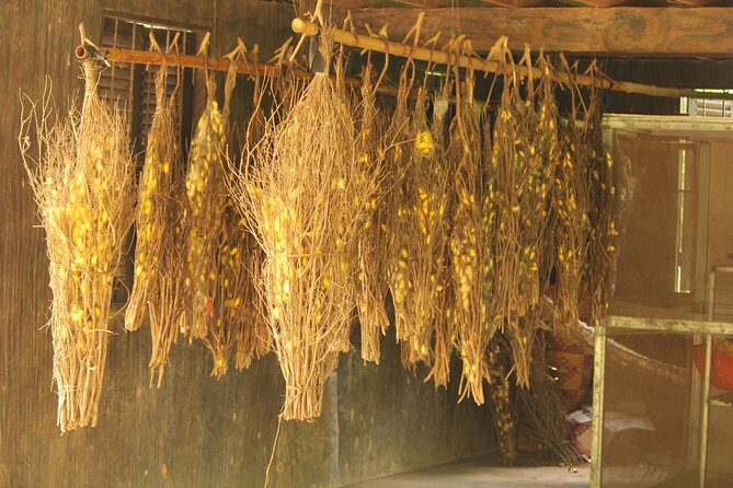 Island Community Life in Phnom Penh - The Right Kind of Tour for Your Travel Style