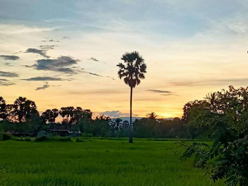 Kampot Countryside include Pepper farm,Kep crab market beach - Stop by stop: how the day unfolds (and what to watch for)