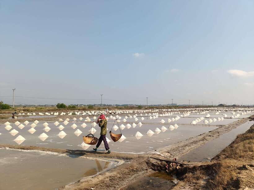 Kampot Countryside include Pepper farm,Kep crab market beach - Who should book this tour (and who might not be a match)