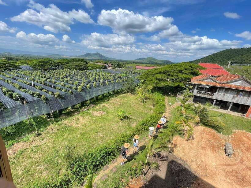 Kampot Pepper Farm, Salt Fields, Crab Market from Phnom Penh - Price and value: why $87 can feel fair for this route