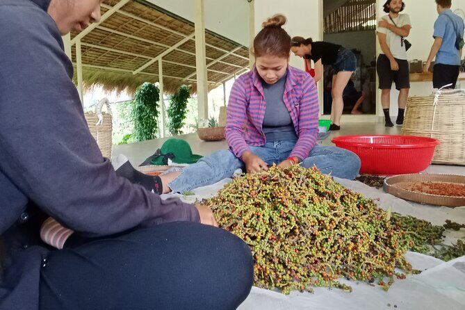 KAMPOT- Pepper farm ..salt fields.Kep/Crab market & more........ - Why This Kampot–Kep Day Trip Works