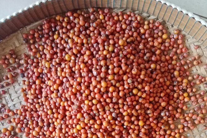 KAMPOT- Pepper farm ..salt fields.Kep/Crab market & more........ - Tuk-Tuk Ride Plus English Guidance (Tango, TangGo, Nak)