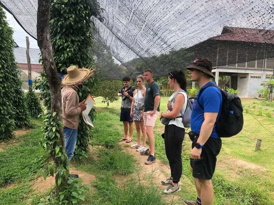 Kampot Private Tour: Pepper Farm, Salt Field & Secret Lake - Salt fields and countryside photo breaks: what to watch for