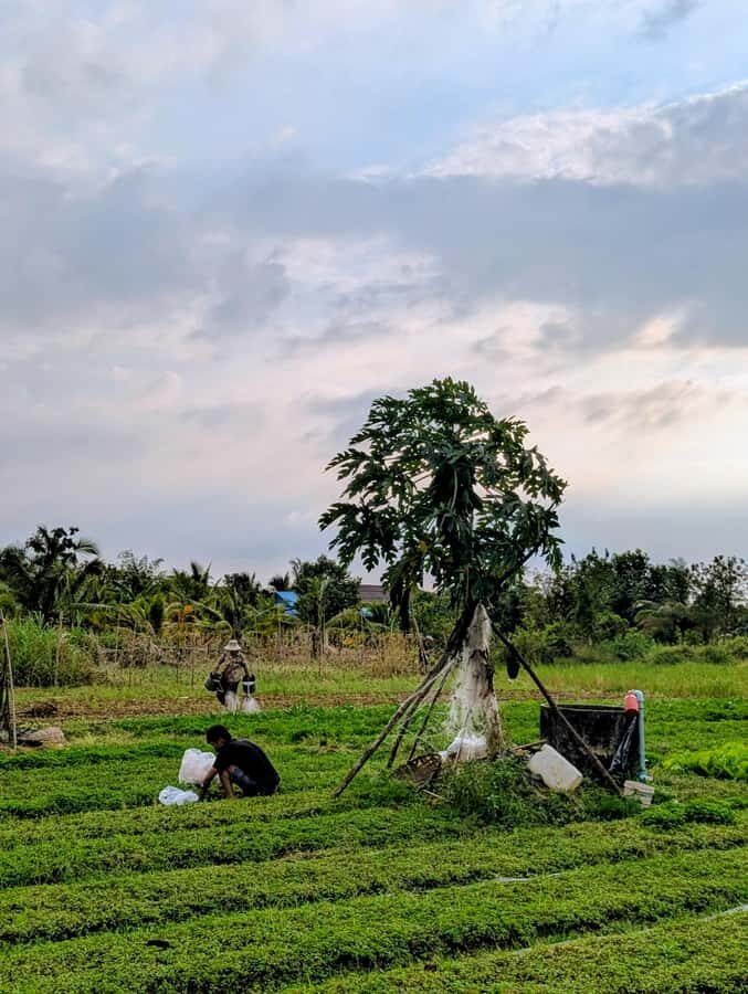 Kampot Private Tour: Pepper Farm, Salt Field & Secret Lake - Practical tips to make the day feel smooth