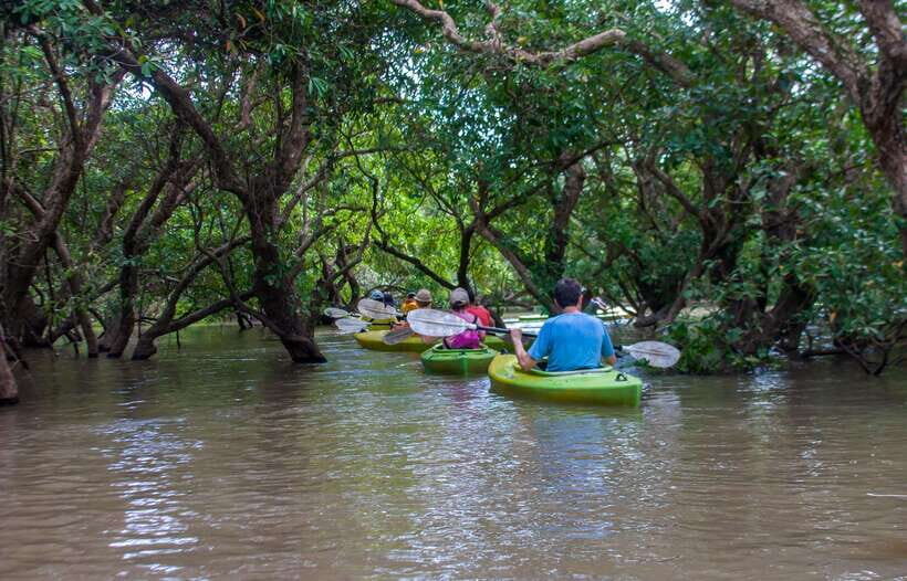 Kayaking & Floating Village in Siem Reap - Price and what $88 buys you for 6 hours