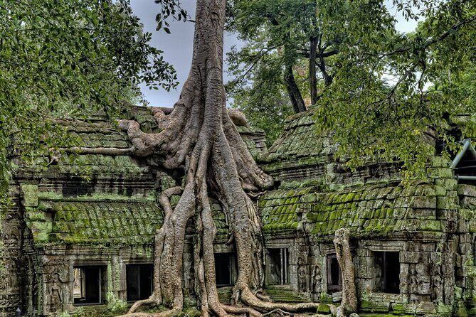 "Killing Fields & Landmine Museum: Private Guided Tour - Price and value: is $190.98 per person worth it?
