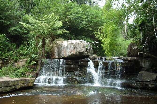 Kirirom National Park Private Day Tour from Phnom Penh - Kirirom and Chambok: The Value Behind a $127 Private Day