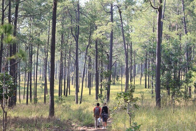 Kirirom National Park Private Day Tour from Phnom Penh - The Chambok Waterfall Trek: A Short Walk With Big Payoff