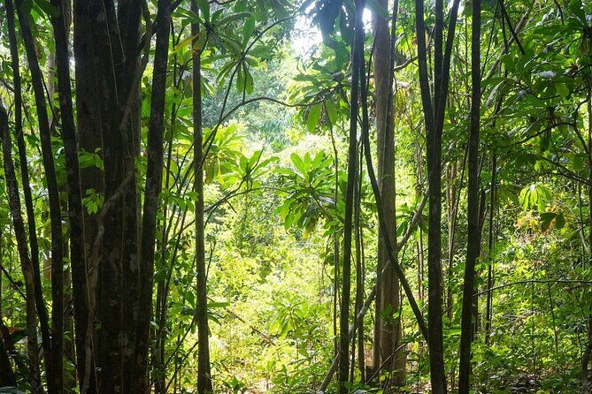 Kirirom National Park Private Day Tour from Phnom Penh - Who This Tour Fits Best (and Who Might Skip)