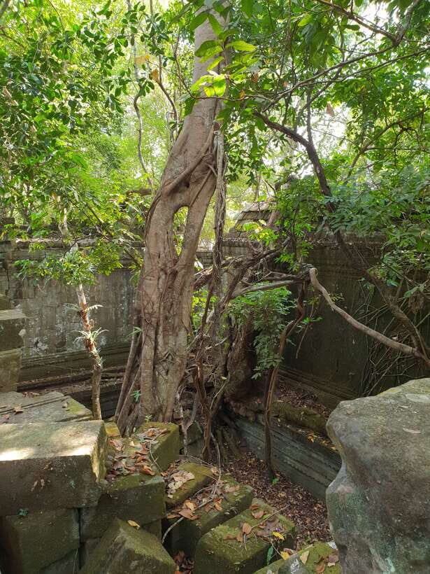 Koh Ker, Beng Mealea and floating village. - Stop 2: Koh Ker and Prasat Thom, the pyramid moment