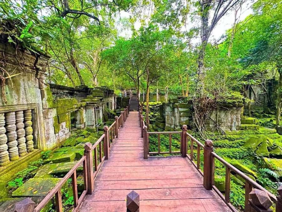 Koh Ker & Beng Mealea Temple Guided Tour - Beng Mealea: An Unrestored Ruin With Shade, Space, and Photo Potential