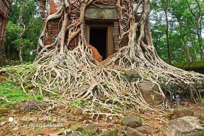Koh Ker Pyramid Temple & Beng Mealea Jungle Temple - Price and value: $118 per person plus tickets
