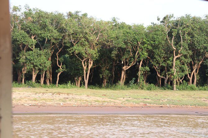 Kompong Phluk Half-Day Tour from Siem Reap - Paddling the Flooded Forest: Traditional Boat Time