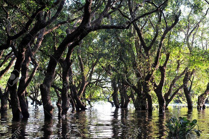 Kompong Phluk Village Tonle Sap Lake Half-Day Tour From Siem Reap - Kompong Phluk village: stilts, daily routines, and the pergola stop